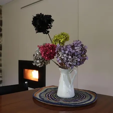 De Diseno En Plena Ribeira Sacra,pombar Hotel